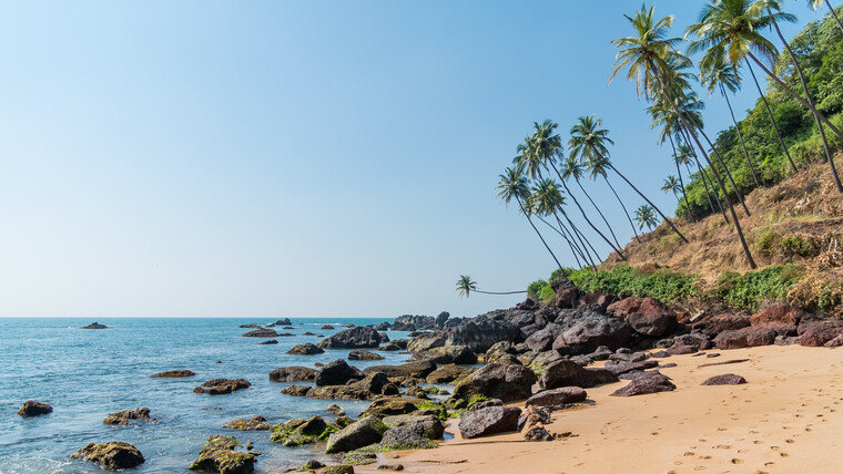 India 2014 - Goa 066.jpg